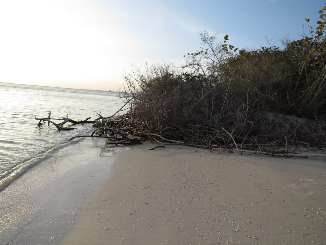 Leonardo Arms seeks state help News, Sports, Jobs FORT MYERS